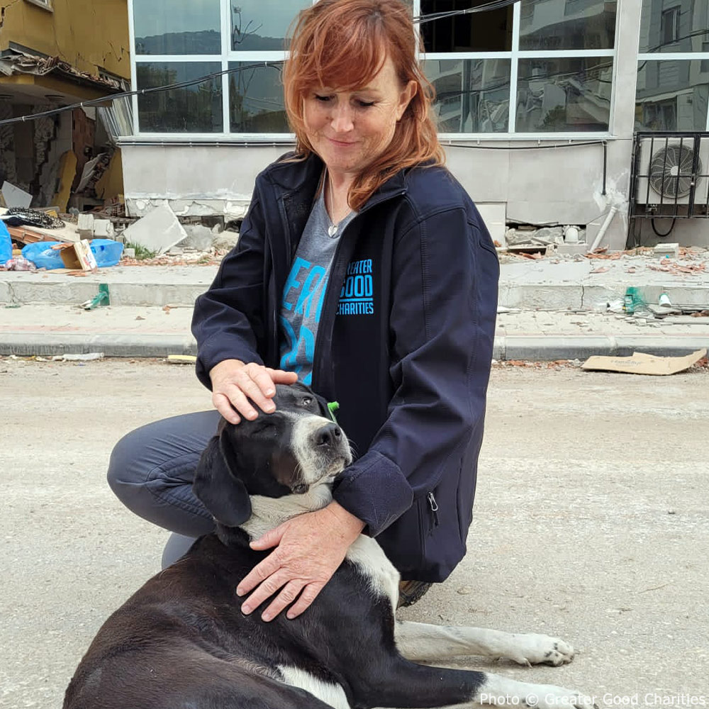 0222-turkey-update-1 0222-turkey-update-1
