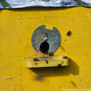 0320-ukraine-update-2-1