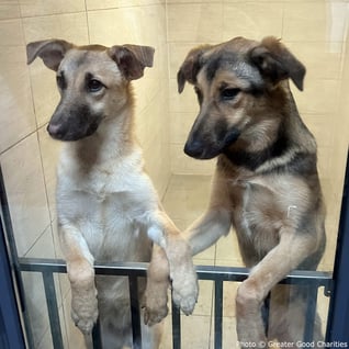 0323-ukraine-update-5-1