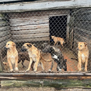 0324-ukraine-update-9