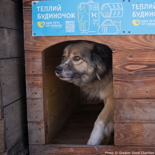0331-ukraine-update-7
