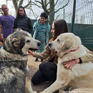 0401-ukraine-update-4-1