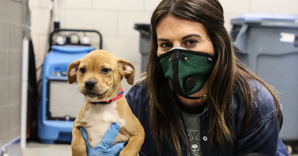 Announcing Good Home, Our New Program to Help Homeless Pets