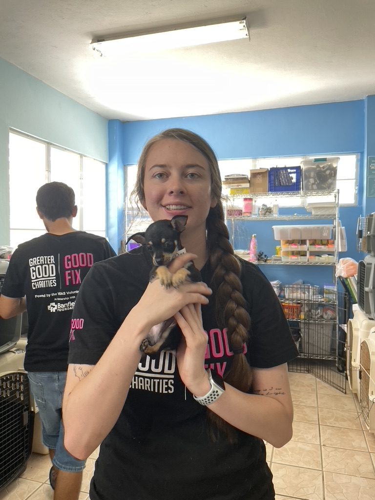 20220722_Morgan Holding Puppy_©GGC_Good Fix Vieques