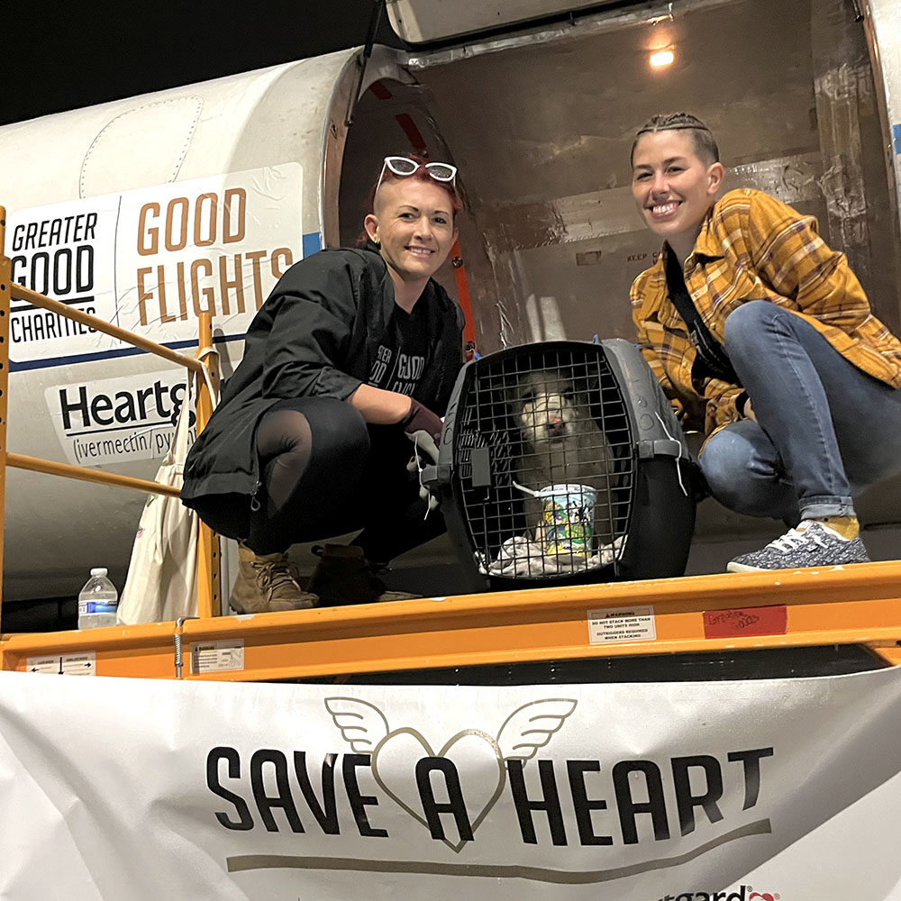2023-GGC-GoodFlights-SaveAHeart