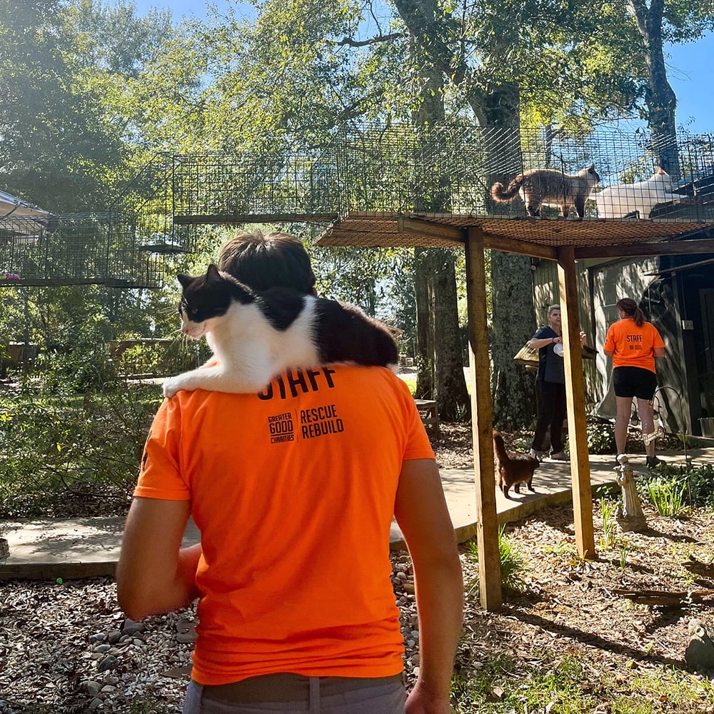 2023-Jan-4-LA-Rescue-Rebuild-Pets-square