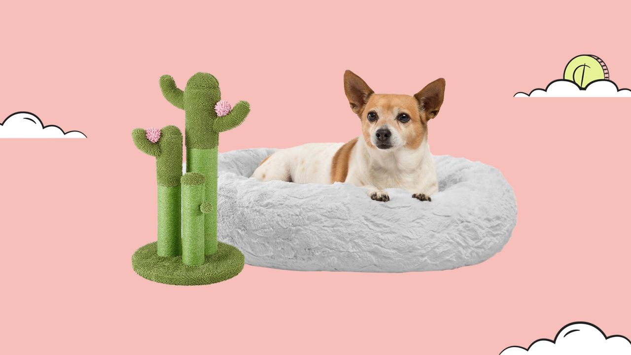 40-best-non-amazon-sales-to-shop-prime-day-2022-chewy