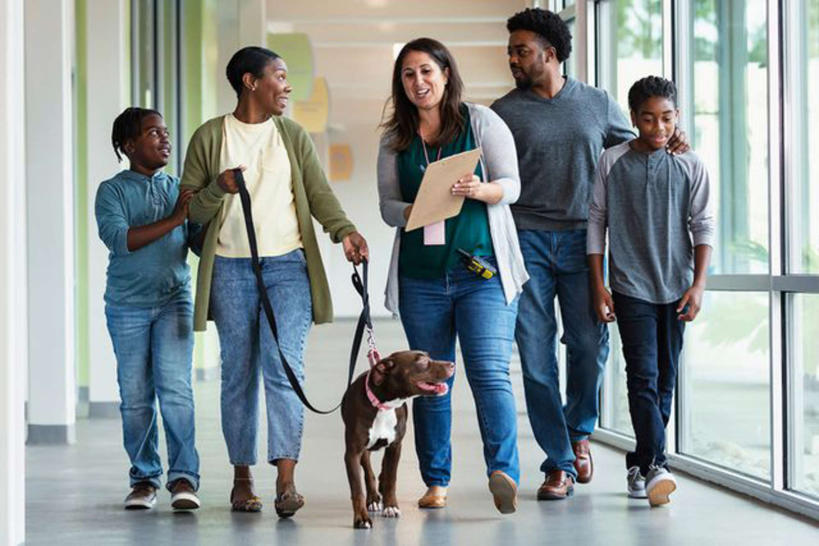 after-record-breaking-adoption-2022-03