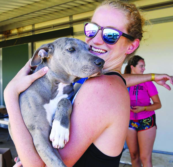 free-spay-and-neuter-clinic