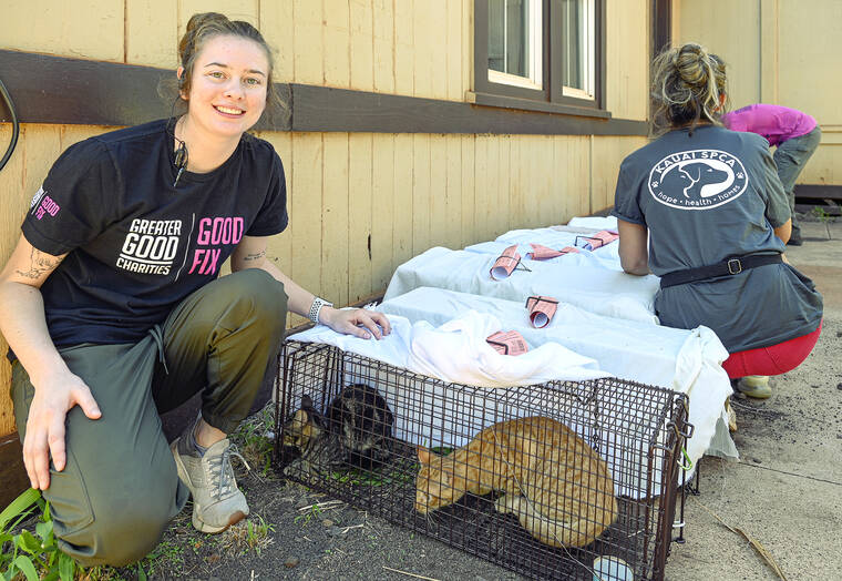 ggc-good-fix-spay-neuter-clinic-available-through-sunday