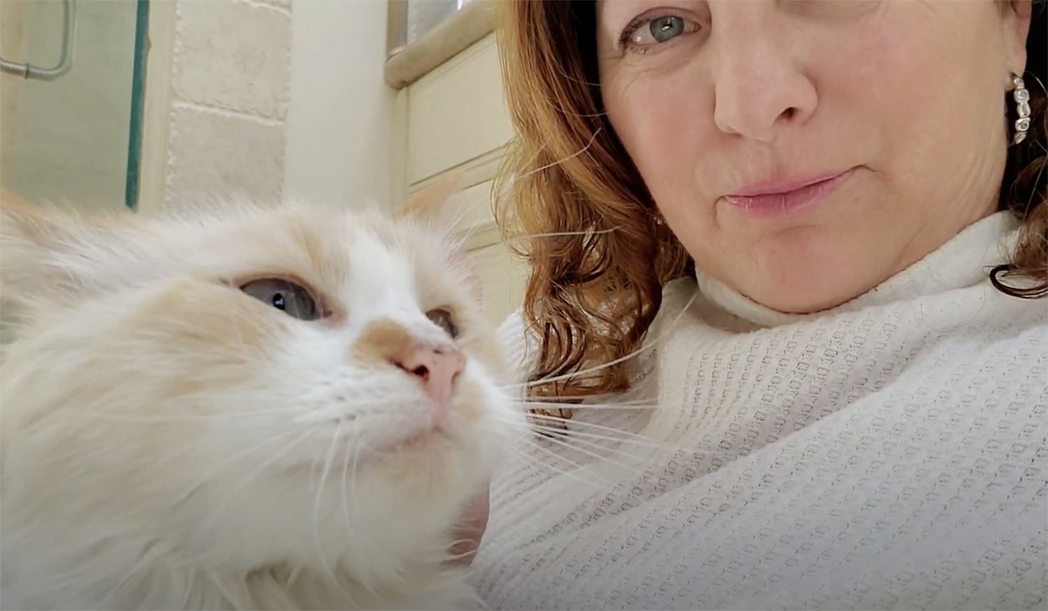 goergeous-george-cat-julie