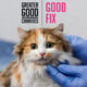 good-fix
