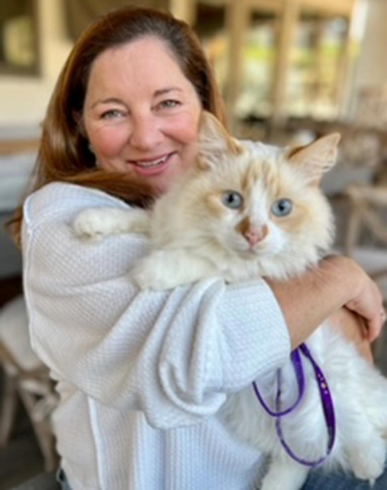 gorgeous-george-cat
