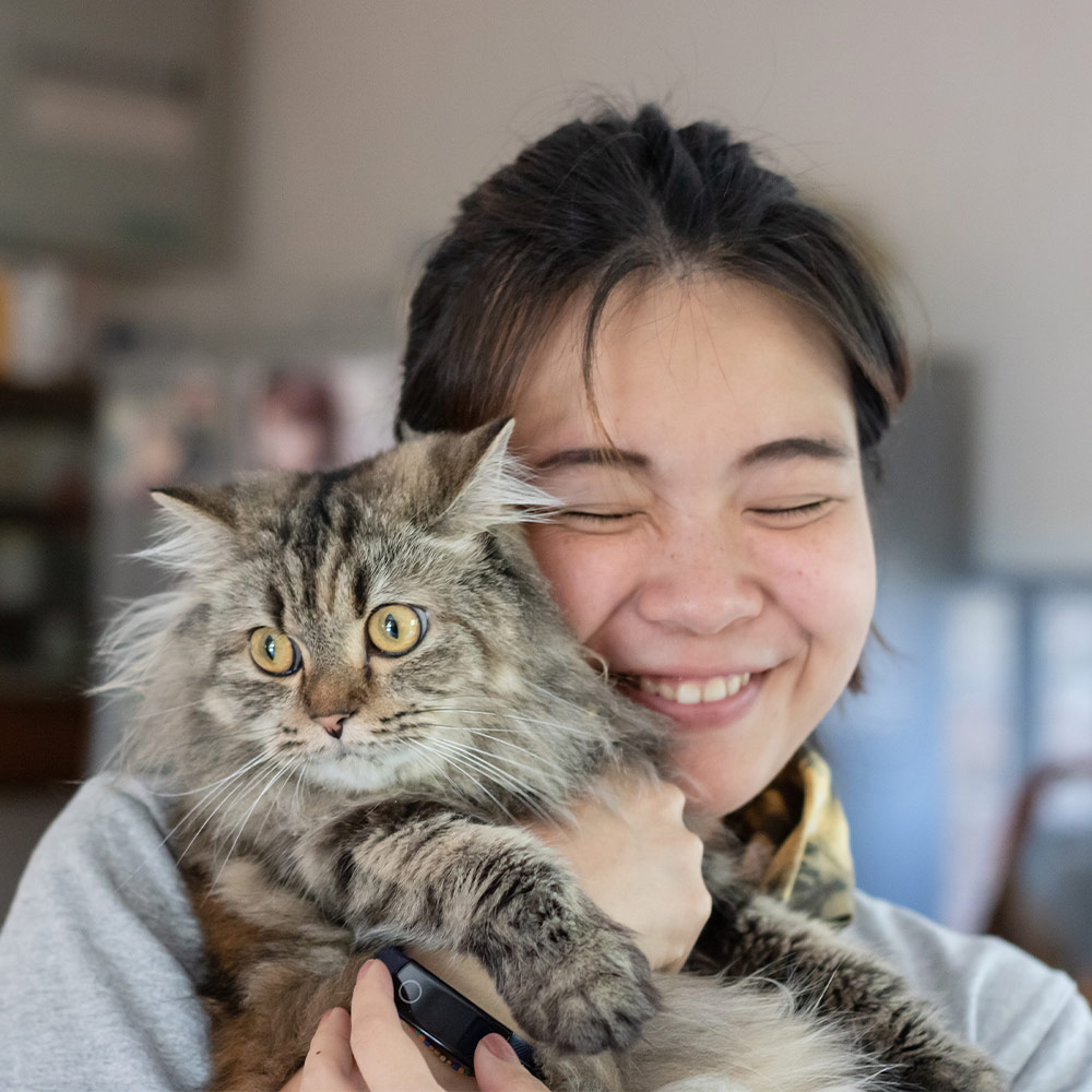hug-your-cat-day