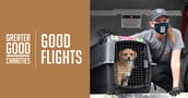 Meta-web-GoodFlights