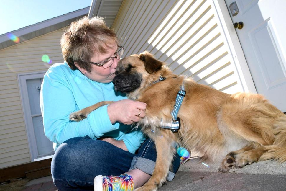 North-Dakota-rescue-dog-rebounds-from-neardeath-experience