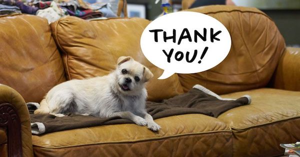 How You Amplified the Good for People, Pets, and the Planet in 2021