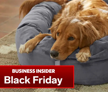 press-black-friday-chewy-sale