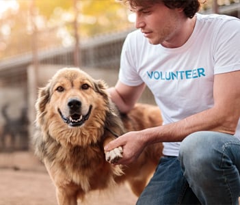 press-vet-nonprofit-reaches-goal-in-grant-funding