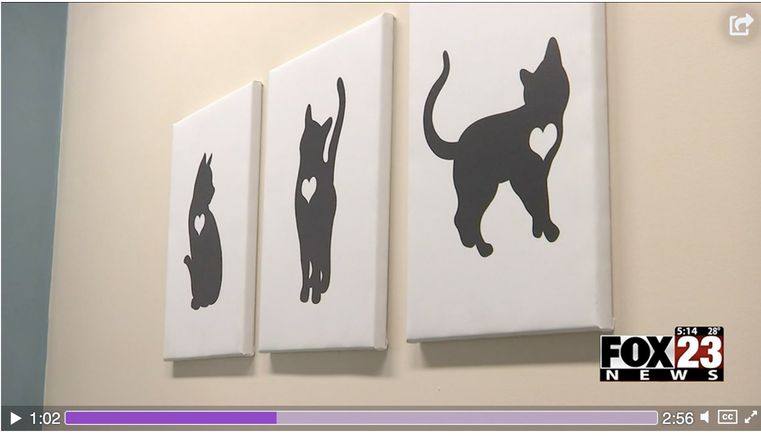 SHELTER PROTECTS VICTIMS OF DOMESTIC VIOLENCE, THEIR PETS IN SAND SPRINGS