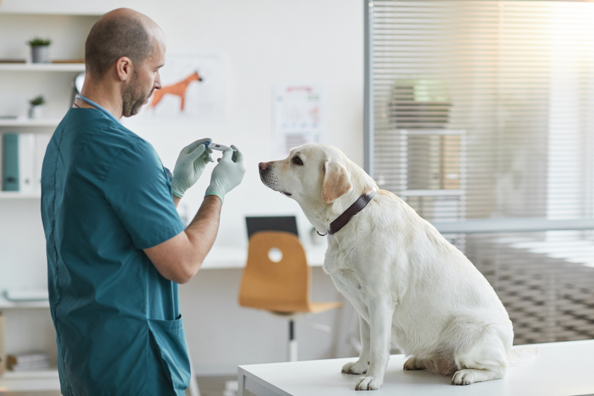 veterinary-advantage