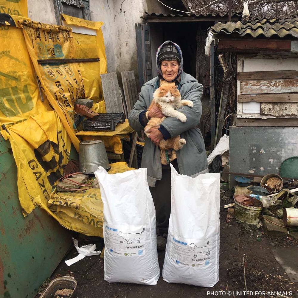 VS-Photograph_20240213_DRI_Ukraine_UfA_Zinaida_004_©UnitedforAnimals copy VS-Photograph_20240213_DRI_Ukraine_UfA_Zinaida_004_©UnitedforAnimals copy