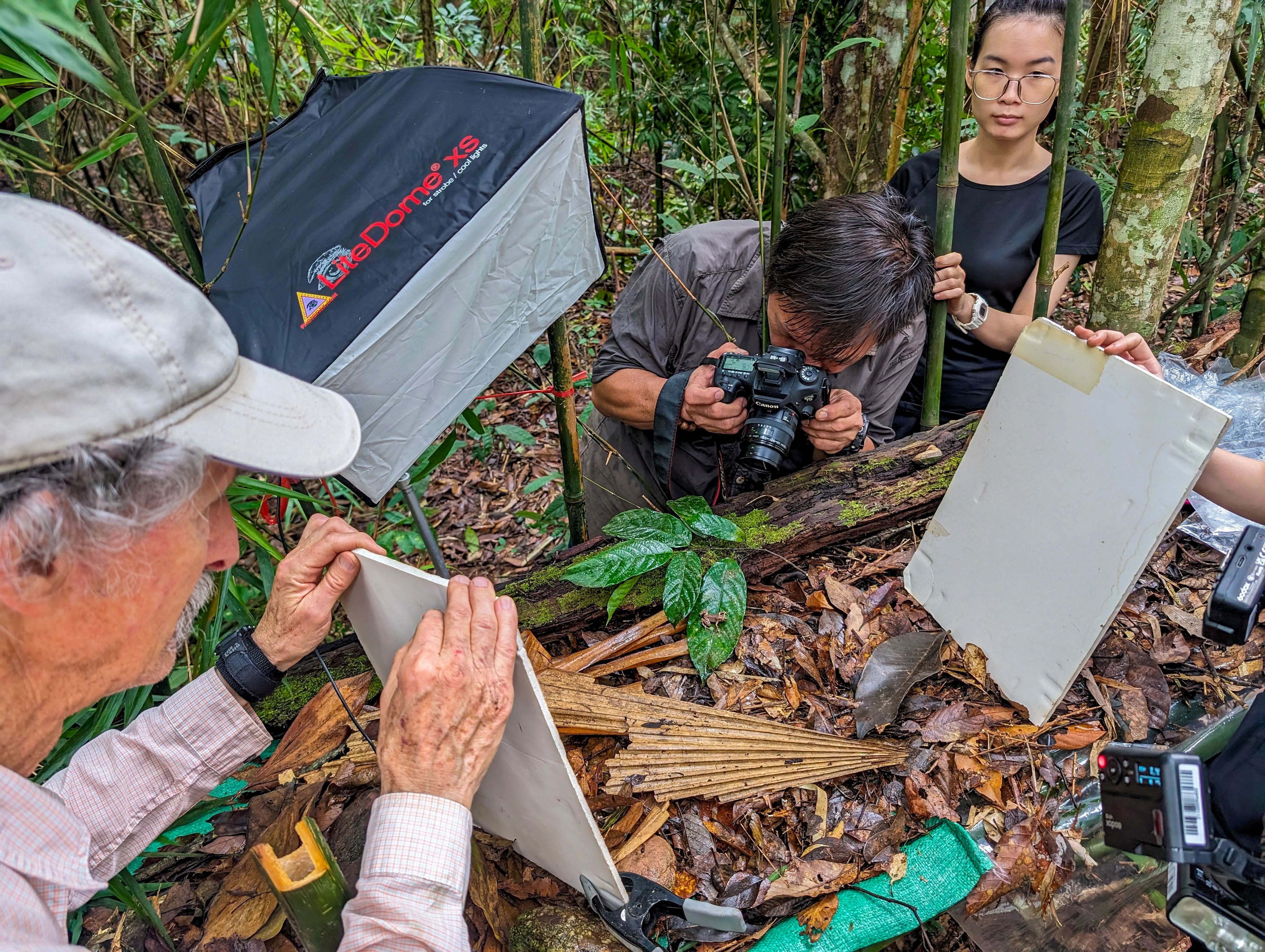 VS-Photograph_20240316_GDE_Vietnam_003