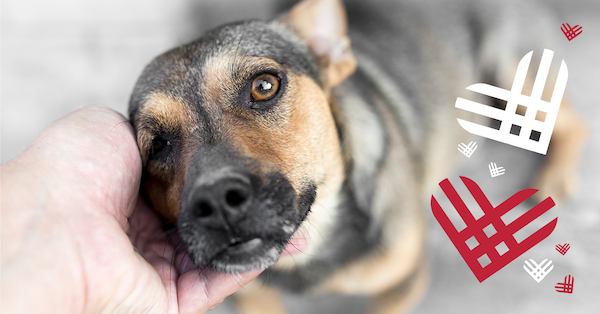 The Most Important GivingTuesday Yet