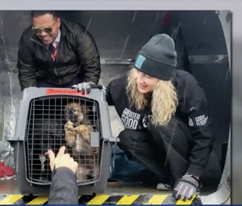 2024-Apr-Lifesaving-Flight-Lands-65-Shelter-Pets-in-Wisconsin