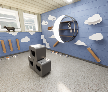 2024-Apr-Living-Long-and-Pawspering-charity-updgrades-cat-play-area