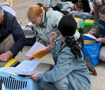 2024-Apr-Lviv-almost-800-animals-were-castrated-and-sterilized