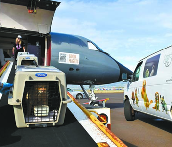 2024-Apr-MHS-sends-50-cats-to-silicone-valley