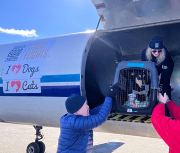 2024-Feb-Rescue-Pets-Land-in-Morristown