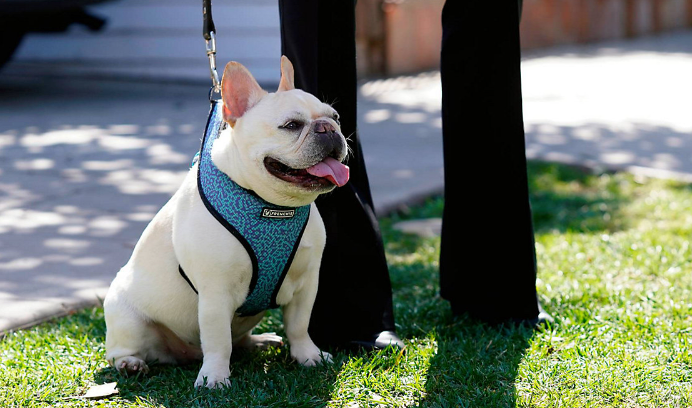 20240719_LA_Partnership_Adoption_Event_Spectrum_News_1
