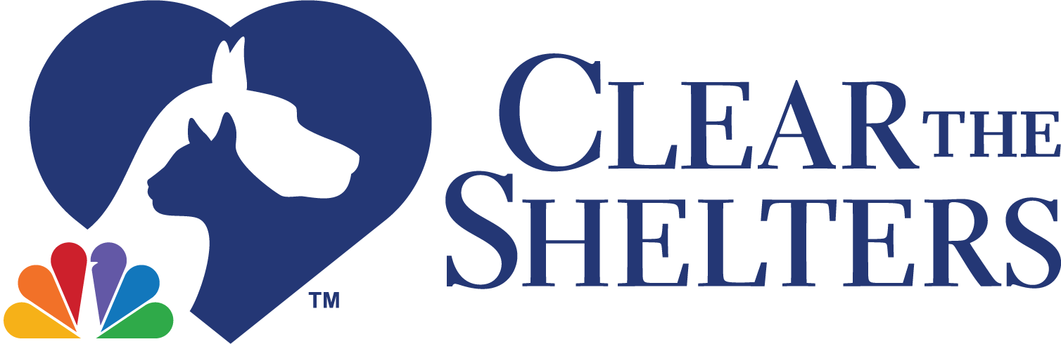 CTS-Int-Stk-Pos-CLO