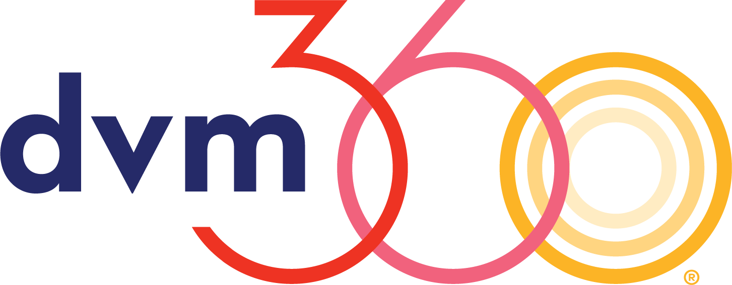 dvm_360-Logo
