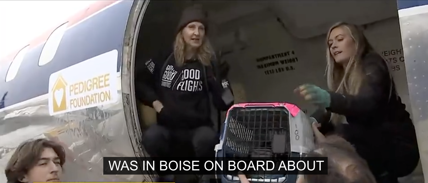 flying-to-forever-homes-initiative-brings-dozens-of-at-risk