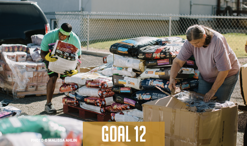 goal-12