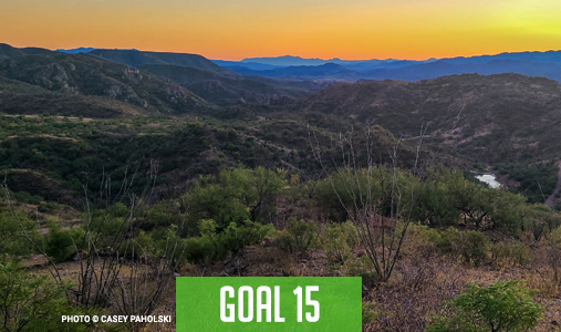 goal-15