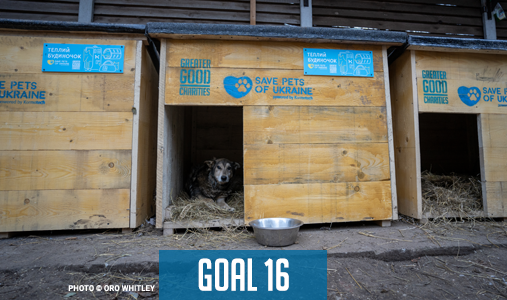 goal-16-02