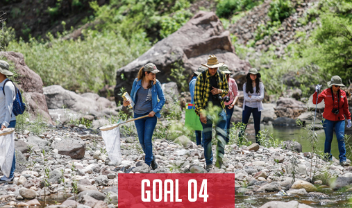 goal-four
