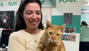Reunited in Maui: Finn's story