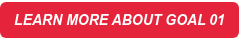 LEARN MORE ABOUT GOAL 01
