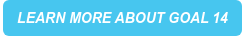 LEARN MORE ABOUT GOAL 14