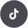 tiktok-logo-web