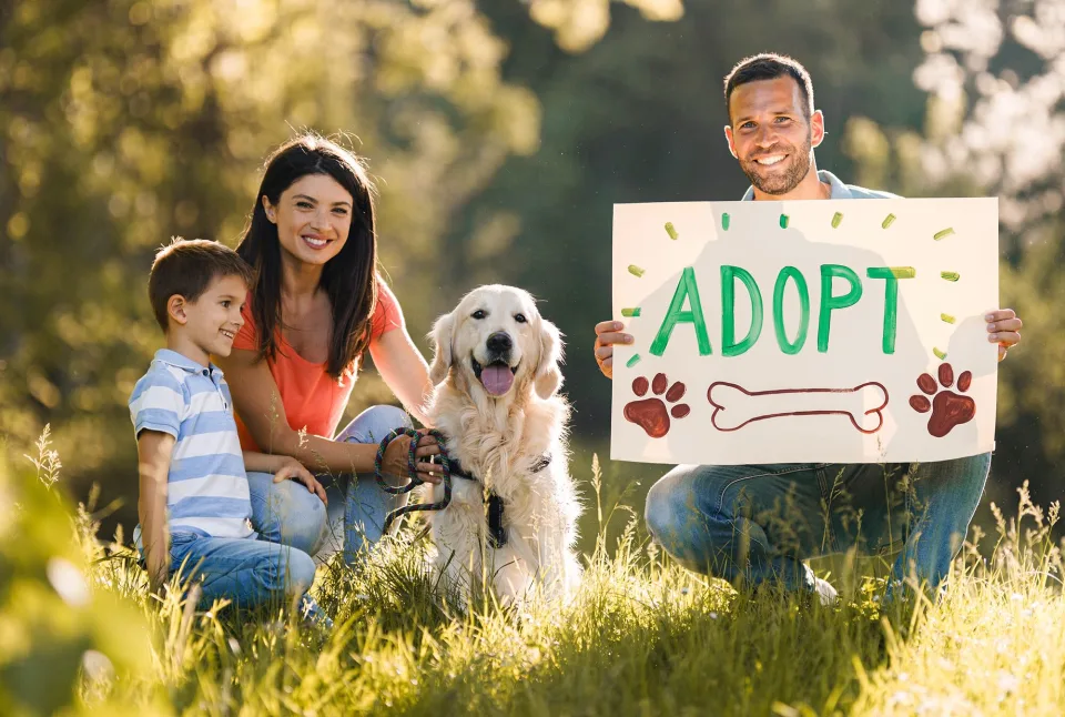 2022-yahoo-entertainment-clear-the-shelters