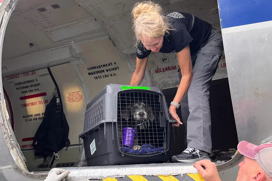 90-shelter-animals-airlifted-to-the-northeast
