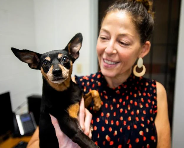 Acadiana-animal-aids-shelter-is-gearing-up