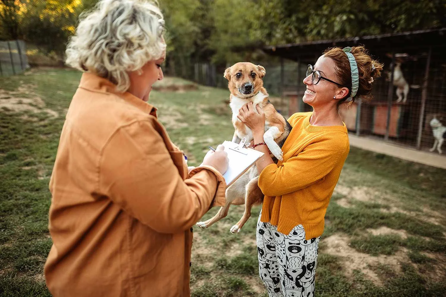 after-record-breaking-adoption-2022