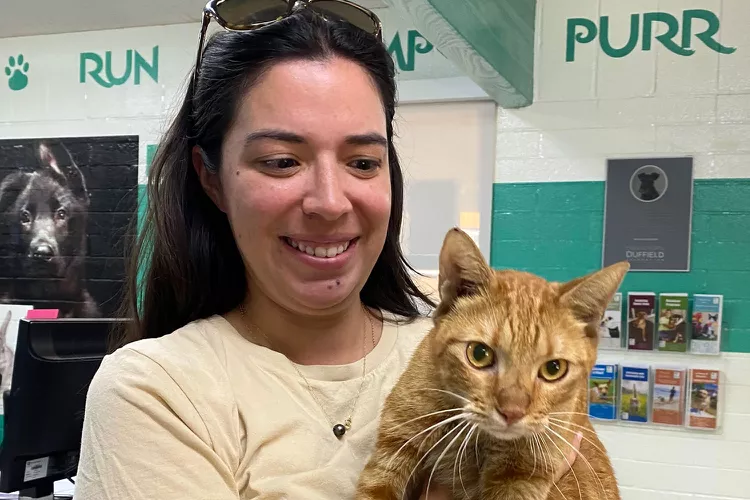cat-found-near-remains-of-house-destroyed-by-maui-fires